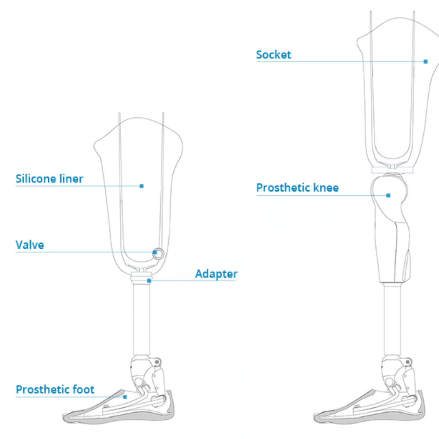 Prosthetic Componentry – Lone Star Prosthetics